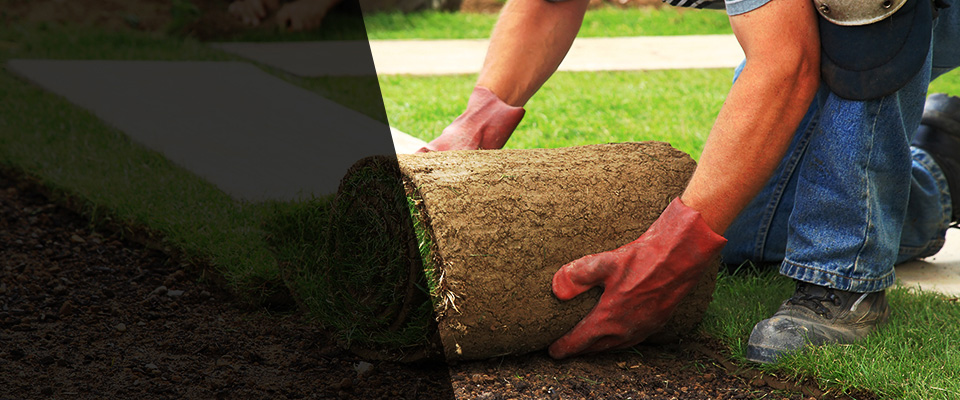 Old Westbury Landscapers